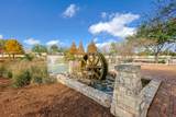 29018 Pinnacle Ridge Drive - Photo 47