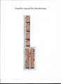 6330 Fuqua Street - Photo 4