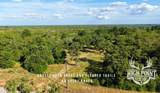 TBD Ranch Road Off Cr 405 - 175 Acres - Photo 6
