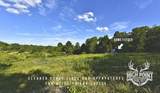 TBD Ranch Road Off Cr 405 - 175 Acres - Photo 8