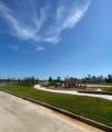14890 Peach Blossom Drive - Photo 12