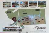 14890 Peach Blossom Drive - Photo 13