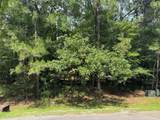 75 Green Tree Drive - Photo 3