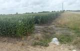 0 Fm 1162 - Photo 1