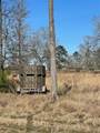 16065 Tierra Buena - Photo 17