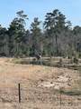 16065 Tierra Buena - Photo 21