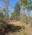 16065 Tierra Buena - Photo 25