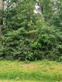 000 Birch Drive - Photo 4