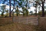 373 County Road 2125 - Photo 4