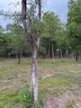 139778 Capital Creek Ranch Boulevard - Photo 6