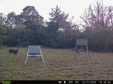 000 Burns Road - Photo 25