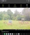 000 Burns Road - Photo 28