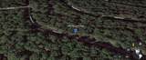 Lots 465 and 466 Wood Forest - Photo 2
