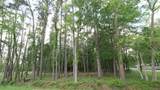 0 Delfan Circle - Photo 5