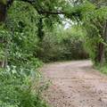 1812 Sam Houston Parkway Parkway - Photo 11