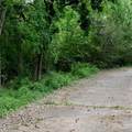 1812 Sam Houston Parkway Parkway - Photo 12