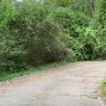 1812 Sam Houston Parkway Parkway - Photo 13