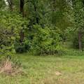 1812 Sam Houston Parkway Parkway - Photo 7