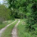 1812 Sam Houston Parkway Parkway - Photo 8