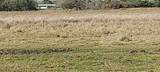 11700 Fm 2004 - Photo 10
