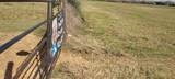 11700 Fm 2004 - Photo 11