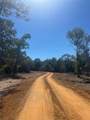 0 Nelson Road - Photo 3