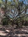 4400 Klekar-Gin - Photo 39