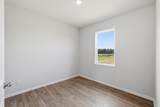 23006 Arizona Cypress Drive - Photo 15