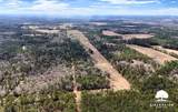 lot 5 John Warren Road - Photo 14
