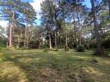 30403 Walnut Creek Road - Photo 6