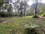 30403 Walnut Creek Road - Photo 7