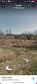 403 7th Street - Photo 14