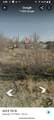 403 7th Street - Photo 15