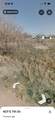 403 7th Street - Photo 6