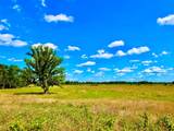 TBD Cooper Settlement Road - Photo 2
