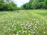 10463 Highway 36 - Photo 13