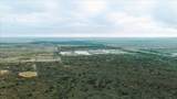 0000 Hwy 124 - Photo 6