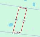 2699 County Road 144 - Photo 4