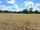 00 Little Dogie Road - Photo 4