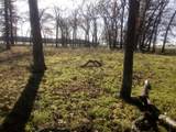 TR 87 County Road 231 - Photo 13