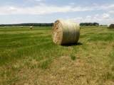 TR 87 County Road 231 - Photo 4