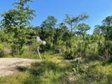 373 County Rd. Kingpont Road Road - Photo 3