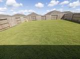 26722 Scarlet Willow Drive - Photo 11