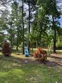 26327 Pinion Creek Road - Photo 5