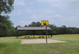 1391 Covered Wagon - Photo 5