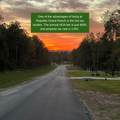 15890 Four Hills Road - Photo 16