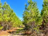 00000 County Rd 4415 - Photo 12