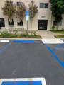 25109 Ebony Ln - Photo 3