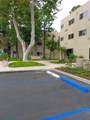 25109 Ebony Ln - Photo 4