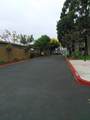 25109 Ebony Ln - Photo 7